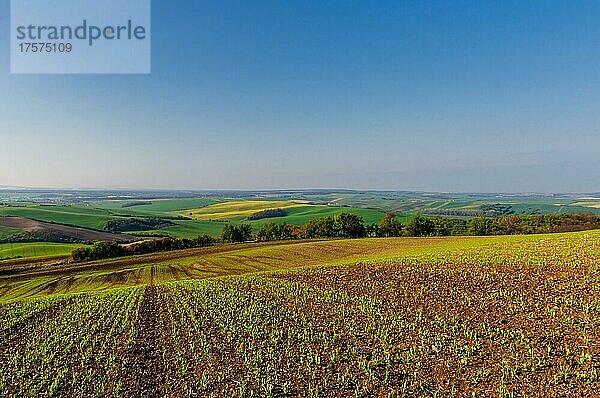 Schöne und bunte abstrakte Landschaft  mit sanften Hügeln  grüne Weizenfelder  Südmähren  Tschechische Republik  Europa