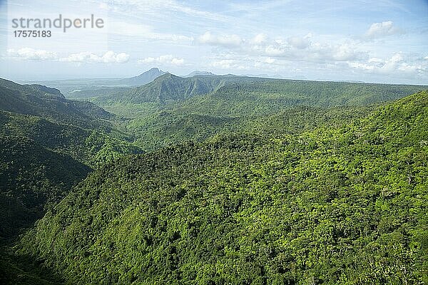 Black River Gorges National Park  Mauritius  Afrika