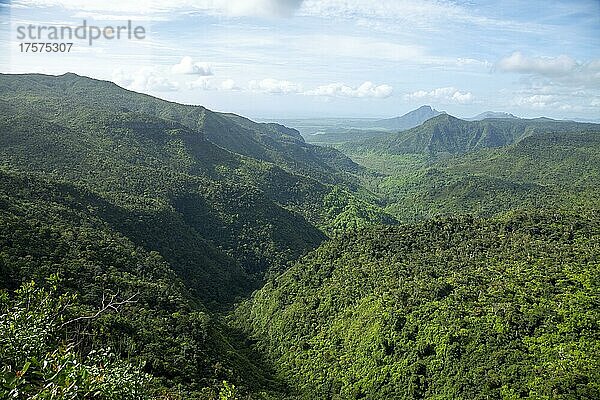 Black River Gorges National Park  Mauritius  Afrika