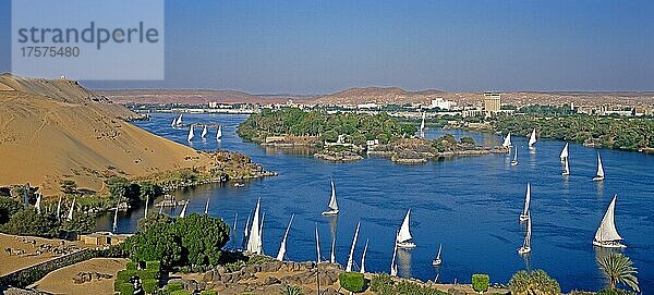 Feluken  Blick über den Nil  Assuan  Ägypten  Afrika