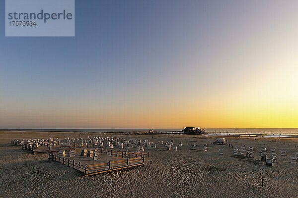 Strandkörbe  Strand im Sonnenuntergang  St. -Peter-Ording  Nordsee  Schleswig-Holstein  Deutschland  Europa