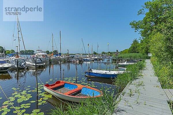 Sportboothafen an der Treene  Süderstapel  Landschaft Stapelholm  Schleswig-Holstein  Deutschland  Europa