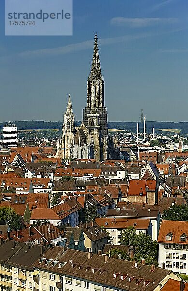 Ulmer Münster  vorne die Osttürme  dahinter der Westturm  Hauptturm  Ausblick auf Ulm  Baden-Württemberg  Deutschland  Europa