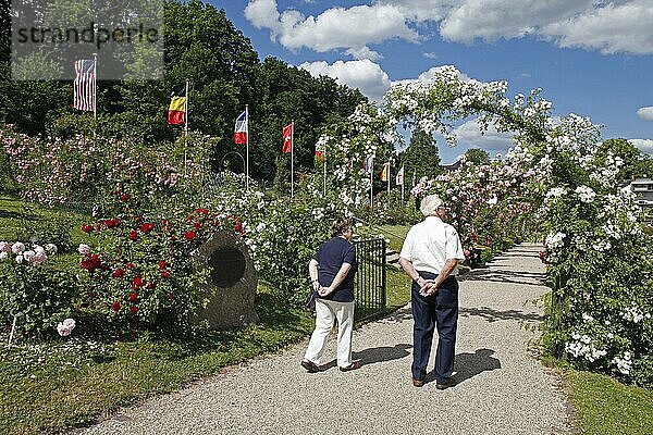 Rosengarten auf dem Beutig an der Moltkestraße  Baden-Baden  Baden-Württemberg  Deutschland  Europa