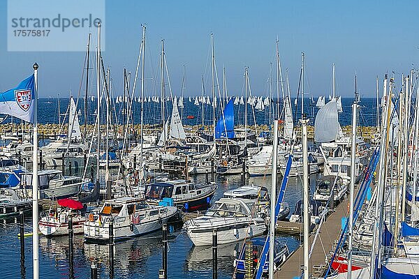 Olympiahafen Schilksee zur Kieler Woche  Kiel  Schleswig-Holstein  Deutschland  Europa