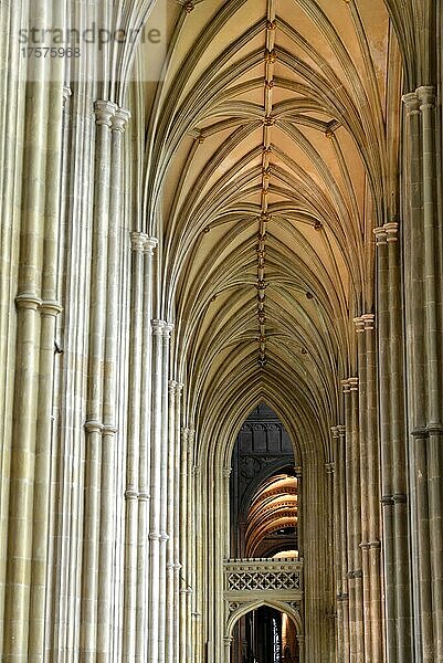 Langschiff  Kathedrale von Canterbury  Canterbury  Kent  England  Großbritannien  Europa