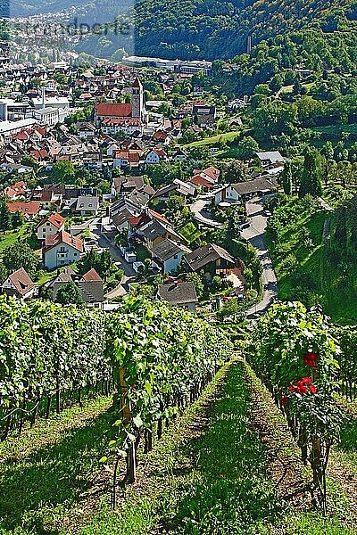 Blick vom Weingut Schloss Eberstein auf Obertsrot und die Herz-Jesu Kirche  Weinberg  Weinanbau  Weingegend  Weinort  Gernsbach  Baden-Württemberg  Deutschland  Europa