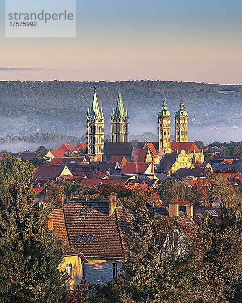 Ausblick auf den Dom St. Peter und Paul im Morgenlicht  UNESCO Welterbe  Morgennebel im Saaletal  Naumburg  Sachsen-Anhalt  Deutschland  Europa