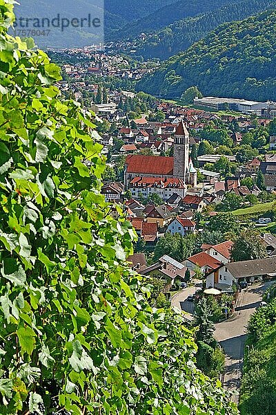 Blick vom Weingut Schloss Eberstein auf Obertsrot und die Herz-Jesu Kirche  Weinberg  Weinanbau  Weingegend  Weinort  Gernsbach  Baden-Württemberg  Deutschland  Europa