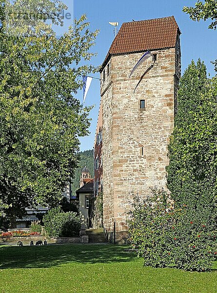 Pulverturm  erbaut im 15. Jhd. Eberbach am Neckar  Baden-Württemberg  Deutschland  Europa