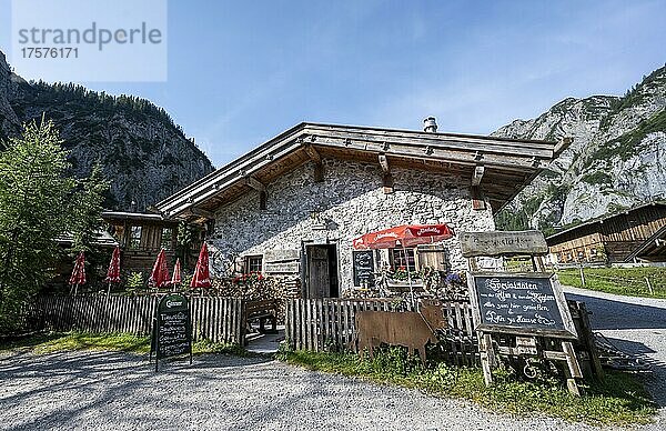 Gramaialm  Alpenpark Karwendel  Tirol  Österreich  Europa
