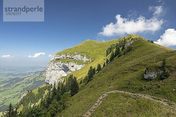 Sommertag mit Blick auf den Karmor  Appenzell  Alpstein  Alpen  Schweiz  Europa