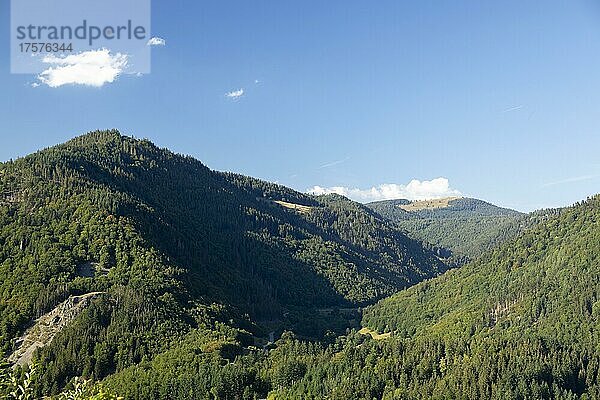 Trockene Sommerlandschaft im Abendlicht mit tränke in Präg  Schwarzwald  Baden-Württemberg  Deutschland  Europa