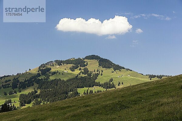 Sommertag mit Sonnenschein mit Blick auf die Fähnerenspitze  Alpen  Appenzell  Schweiz  Europa