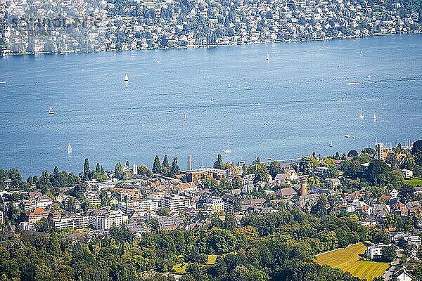 Ausblick vom Uetliberg den Zürichsee mit Segelbooten  Kanton Zürich  Schweiz  Europa