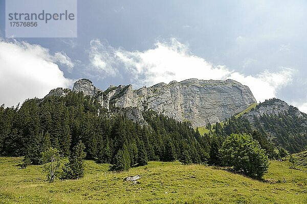 Sommertag mit Blick auf den Karmor  Appenzell  Alpstein  Alpen  Schweiz  Europa