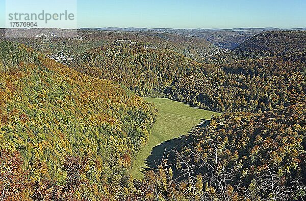 Herbstlicher Wald  Ausblick auf Runder Berg  Ruine Hohenurach und Albtrauf  Bad Urach  Ermstal  Biosphärengebiet Schwäbische Alb  Baden-Württemberg  Deutschland  Europa