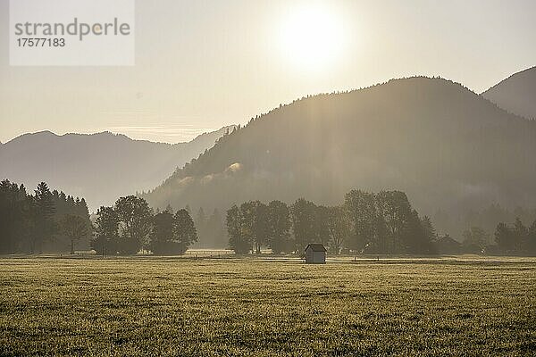 Morgenstimmung  Bayrische Alpen  Chiemgau  Bayern