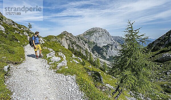 Wanderer am Wanderweg zur Lamsenspitze aus dem Falzthurntal  hinten Gipfel des Sonnjoch  Karwendelgebirge  Alpenpark Karwendel  Tirol  Österreich  Europa