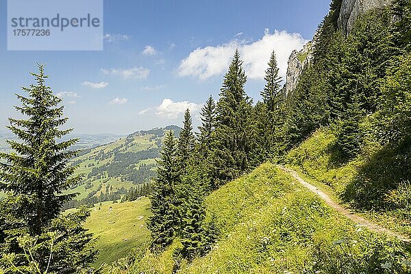 Sommertag mit Sonnenschein mit Blick auf die Fähnerenspitze  Alpen  Appenzell  Schweiz  Europa