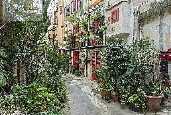 Enge Straße mit Blumentöpfen und leuchtend roten Türen und Fenstern in der Stadt Monreale bei Palermo  Sizilien  Italien  Europa