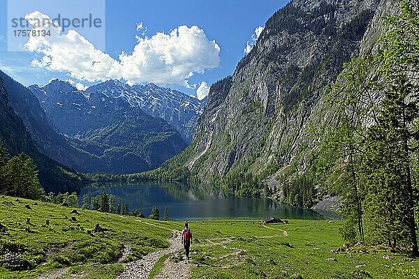 Wanderer auf dem Weg zur Fischunkelalm am Obersee  im Hintergrund das Watzmann-Massiv  Nationalpark Berchtesgaden  Bayern  Deutschland  Europa