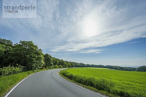 Landstraße mit Sonne im Frühling  Karbach  Boppard  Rhein-Hunsrück-Kreis  Rheinland-Pfalz  Deutschland  Europa