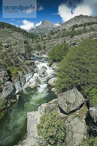 Berglandschaft  Fluss Golo  Caluccia  Korsika  Frankreich  Europa