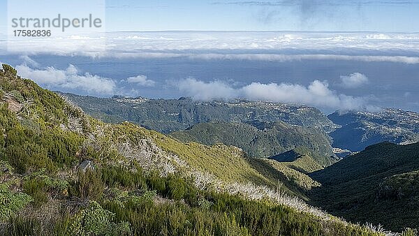 Ausblick auf Nordküste in der Nähe des Gipfels des Pico Ruivo  Madeira  Portugal  Europa