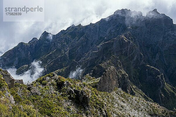 Nebel in Schlucht  Ausblick vom Gipfel Pico Ruivo  Madeira  Portugal  Europa