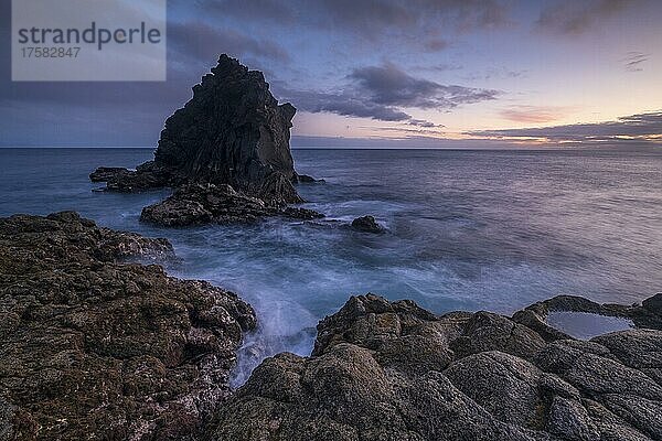 Abendstimmung an der Küste  Ilhéu de Santa Catarina  Lavafelsen im Meer  Madeira  Portugal  Europa
