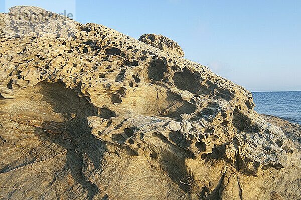Felsen an der Küste  Provinz Izmir  Türkei  Asien