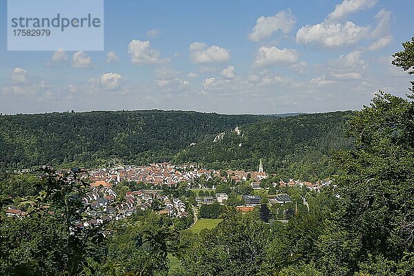 Ausblick auf Blaubeuren  Häuser  Dächer  Kirchturm  Bäume  Baden-Württemberg  Deutschland  Europa