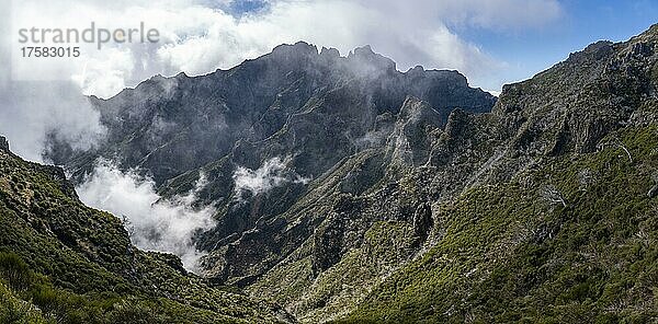 Grünes Tal  Schlucht mit Nebel in der Nähe des Gipfels des Pico Ruivo  Madeira  Portugal  Europa