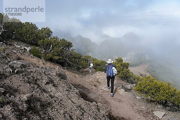 Wanderer auf Wanderweg zum Gipfels des Pico Ruivo  Madeira  Portugal  Europa