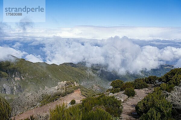 Ausblick und Wanderweg zum Gipfels des Pico Ruivo  Madeira  Portugal  Europa