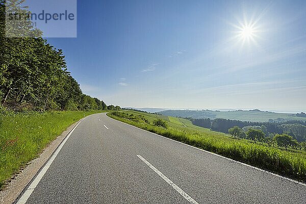 Landstraße mit Frühlingssonne  Rheingoldstraße  Weiler-Boppard  Boppard  Rhein-Hunsrück-Kreis  Rheinland Pfalz  Deutschland  Europa