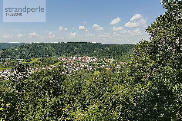 Ausblick auf Blaubeuren  Häuser  Dächer  Kirchturm  Bäume  Baden-Württemberg  Deutschland  Europa