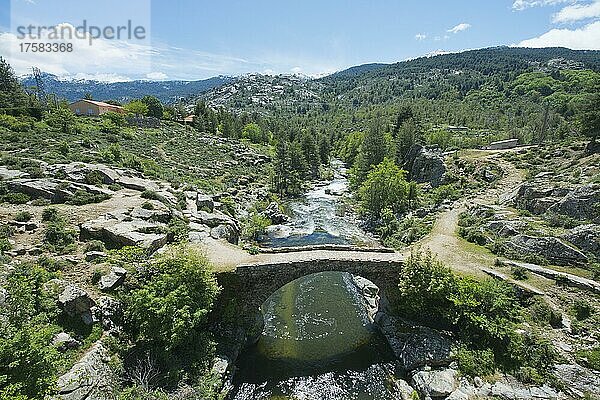 Berglandschaft  Fluss Golo  Caluccia  Korsika  Frankreich  Europa