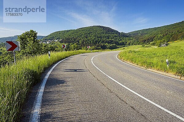 Kurvenreiche Landstraße im Frühling  Rheingoldstraße  Weiler-Boppard  Boppard  Rhein-Hunsrück-Kreis  Rheinland-Pfalz  Deutschland  Europa