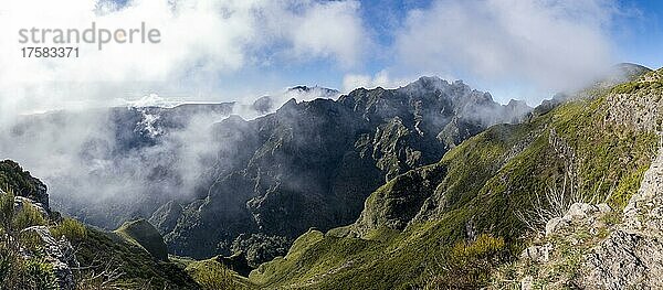 Grünes Tal  Schlucht mit Nebel in der Nähe des Gipfels des Pico Ruivo  Madeira  Portugal  Europa