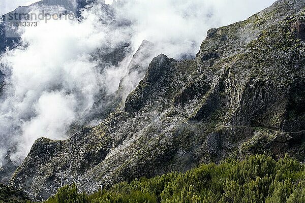 Grünes Tal  Schlucht mit Nebel in der Nähe des Gipfels des Pico Ruivo  Madeira  Portugal  Europa