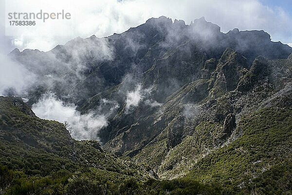 Grünes Tal  Schlucht mit Nebel in der Nähe des Gipfels des Pico Ruivo  Madeira  Portugal  Europa