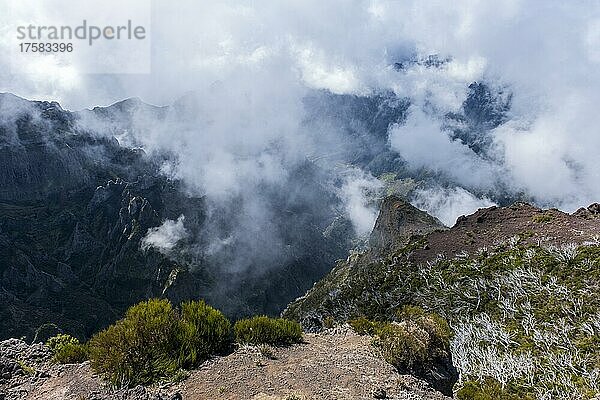 Nebel in Schlucht  Ausblick vom Gipfel Pico Ruivo  Madeira  Portugal  Europa