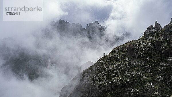 Nebel in Schlucht  Ausblick vom Gipfel Pico Ruivo  Madeira  Portugal  Europa