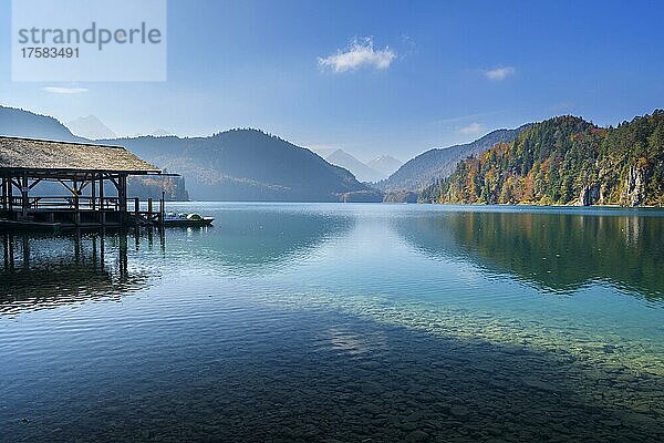 Alpsee mit Bootshaus im Herbst  Füssen  Schwaben  Allgäu  Bayern  Deutschland  Europa