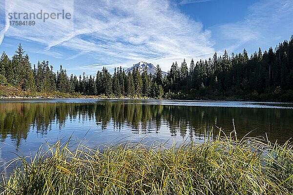 See Mirror Lake mit Wald  hinten Gipfel des Vulkans Mt Hood  Oregon  USA  Nordamerika
