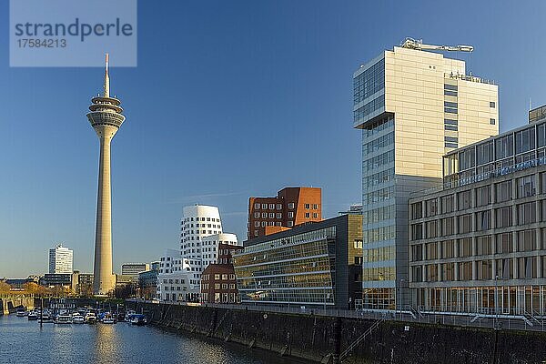 Rheinturm  Gehry-Gebäude  Neuer Zollhof  Medienhafen  Düsseldorf  Nordrhein-Westfalen  Deutschland  Europa