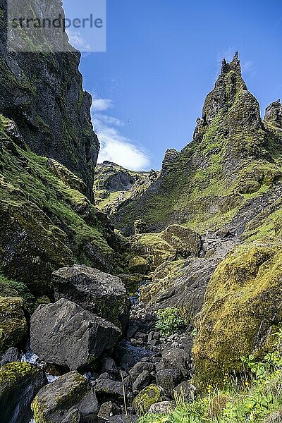 Fluss in einer Schlucht  Landschaft mit Bergen  Pakgil  Island  Europa