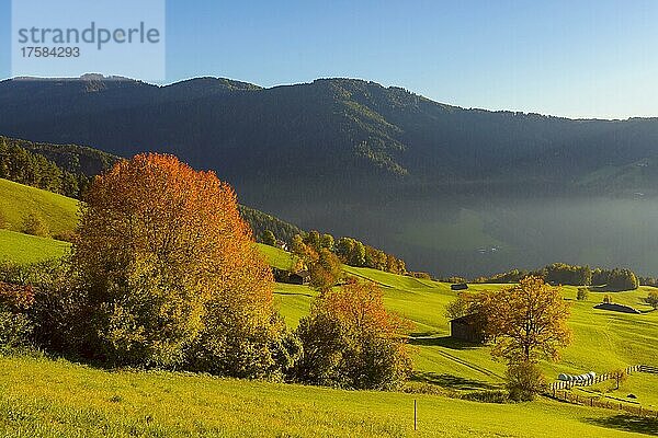 Herbstliche Berglandschaft  Oberaicha  Tiers  Dolomiten  Trentino-Südtirol  Südtirol  Italien  Europa